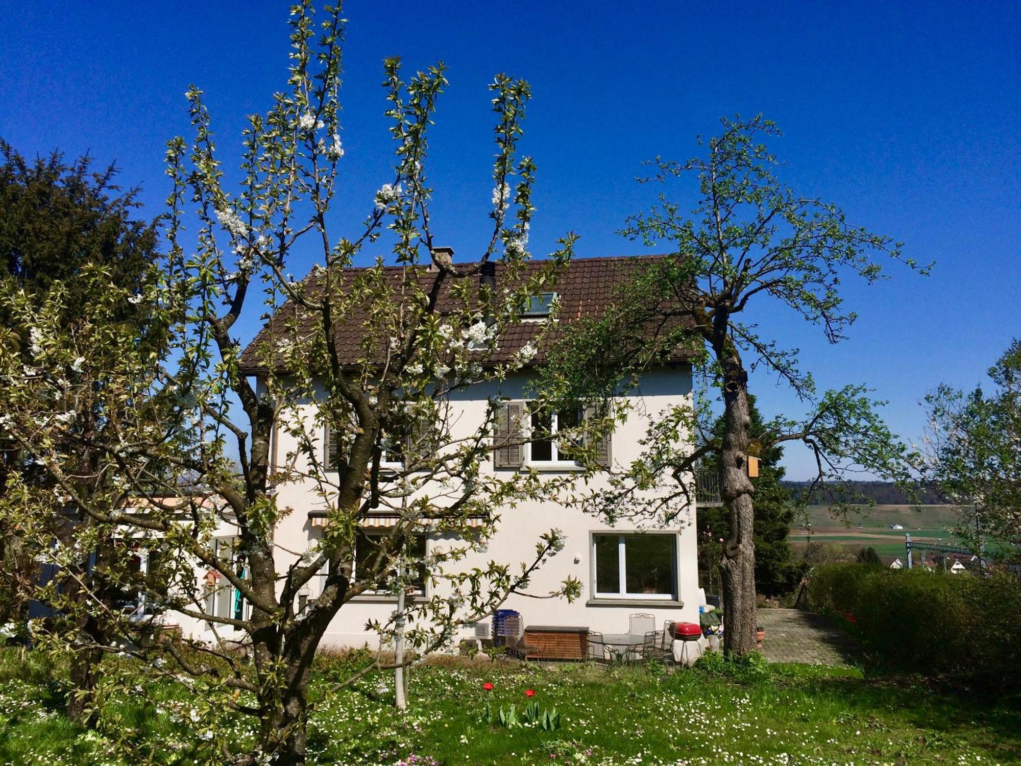 Guntli'S Family Guesthouse Andelfingen Buitenkant foto